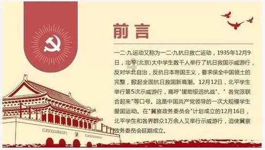 猫猫冒险团